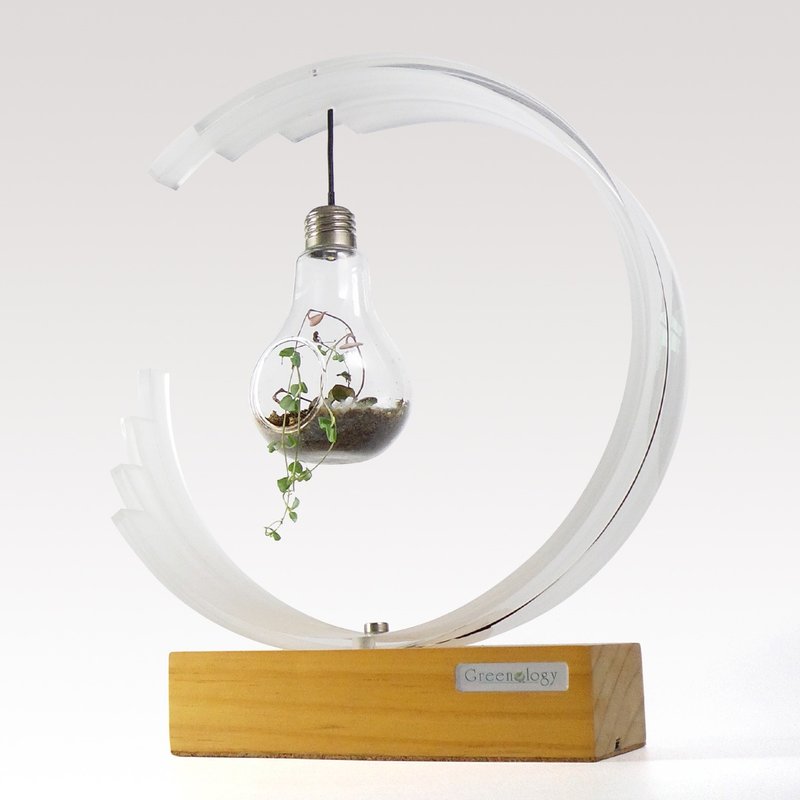 Greenology 灯笼概念玻璃花器 附LED照明 - 植栽/盆栽 - 木头 多色