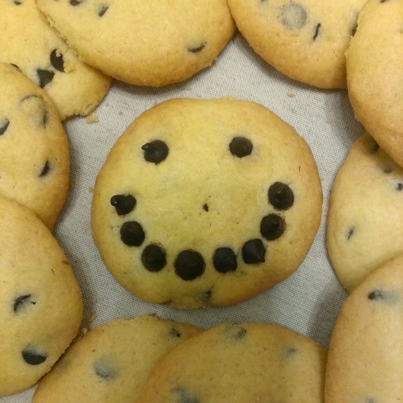 巧克力豆豆手工饼干(一包12片入) - 手工饼干 - 新鲜食材 绿色