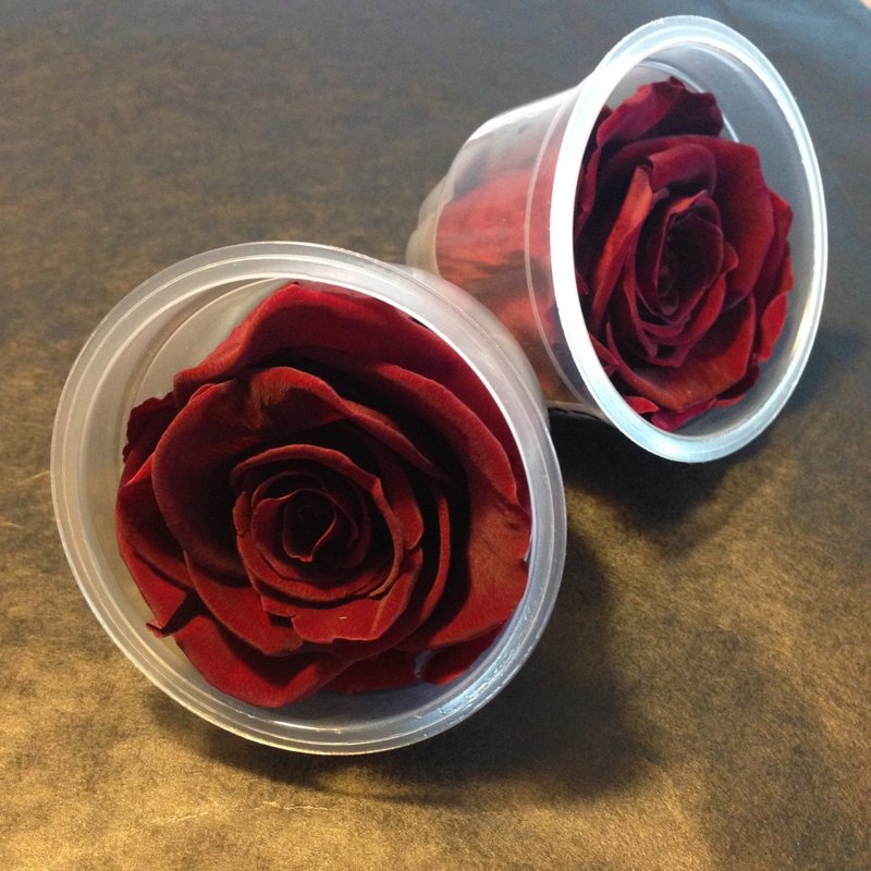 《手作》 玫瑰不凋花  盆花花礼  【深红色】 - 植栽/盆栽 - 植物．花 红色