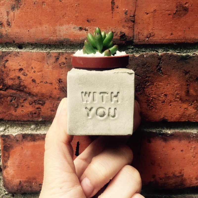 WITH YOU~(永远陪着你) 磁铁多肉盆栽 - 植栽/盆栽 - 水泥 灰色