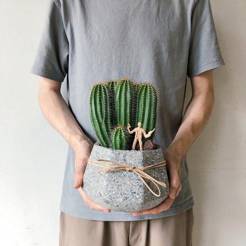 仙人掌军人植栽 水泥盆栽 - 植栽/盆栽 - 植物．花 绿色