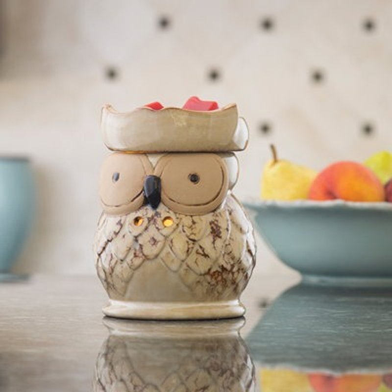 薰香溶蜡暖台灯－猫头鹰 - 蜡烛/烛台 - 其他材质 卡其色