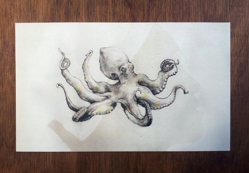 八爪章鱼 明信片 - 卡片/明信片 - 纸 灰色