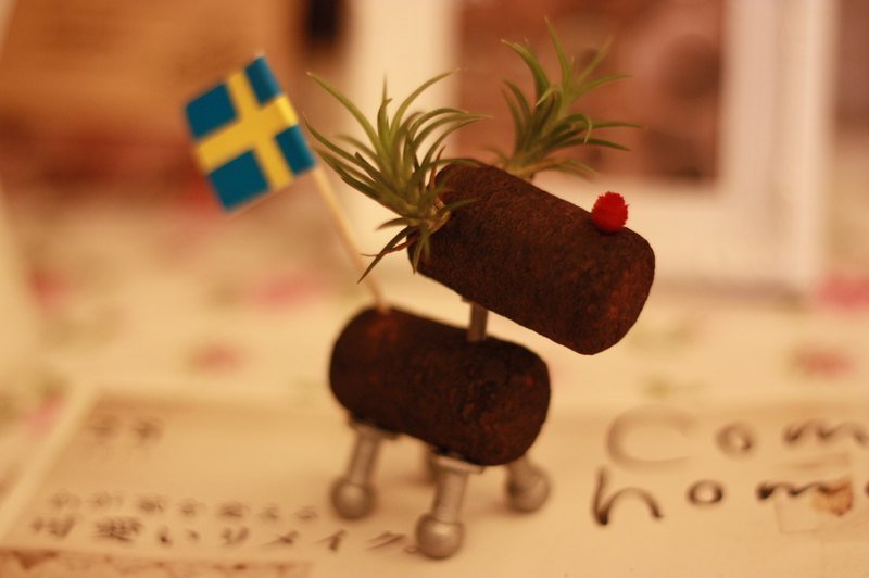 黑色麋鹿造型之空气凤梨 (Tillandsias neglecta 日本第一 迷你种 ) - 植栽/盆栽 - 其他材质 黑色