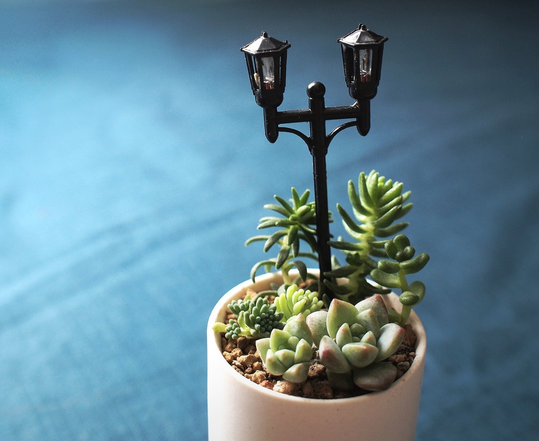〈我们聊聊 好吗〉多肉植物 森林 花 瓷器 盆栽 路灯 公园   <Should we talk> Succulents - 植栽/盆栽 - 其他材质 白色