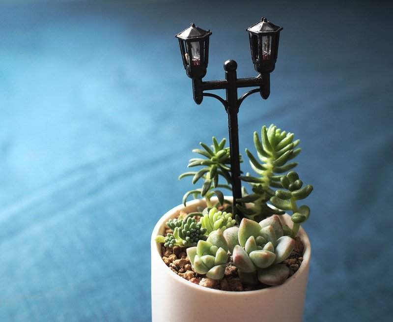 〈我们聊聊 好吗〉多肉植物 森林 花 瓷器 盆栽 路灯 公园   <Should we talk> Succulents - 植栽/盆栽 - 其他材质 白色