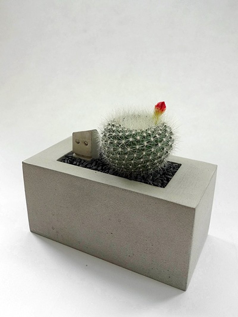 长方水泥花器(不含植物、石、土) - 植栽/盆栽 - 水泥 灰色