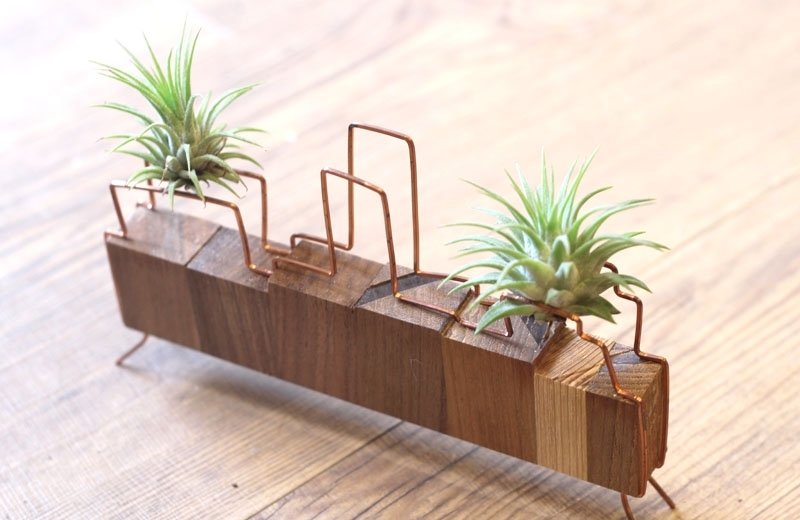 红铜积木￥空气凤梨 - 植栽/盆栽 - 木头 咖啡色