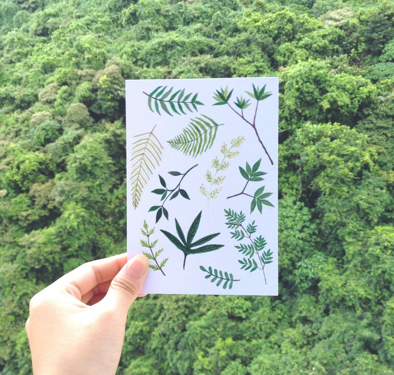 something green 植物明信片 - 卡片/明信片 - 纸 绿色