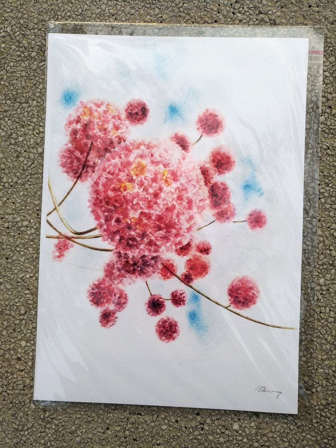 洋红风铃木 粉红桃红色花 装饰画 水彩复制画 A4尺寸 - 海报/装饰画/版画 - 纸 粉红色