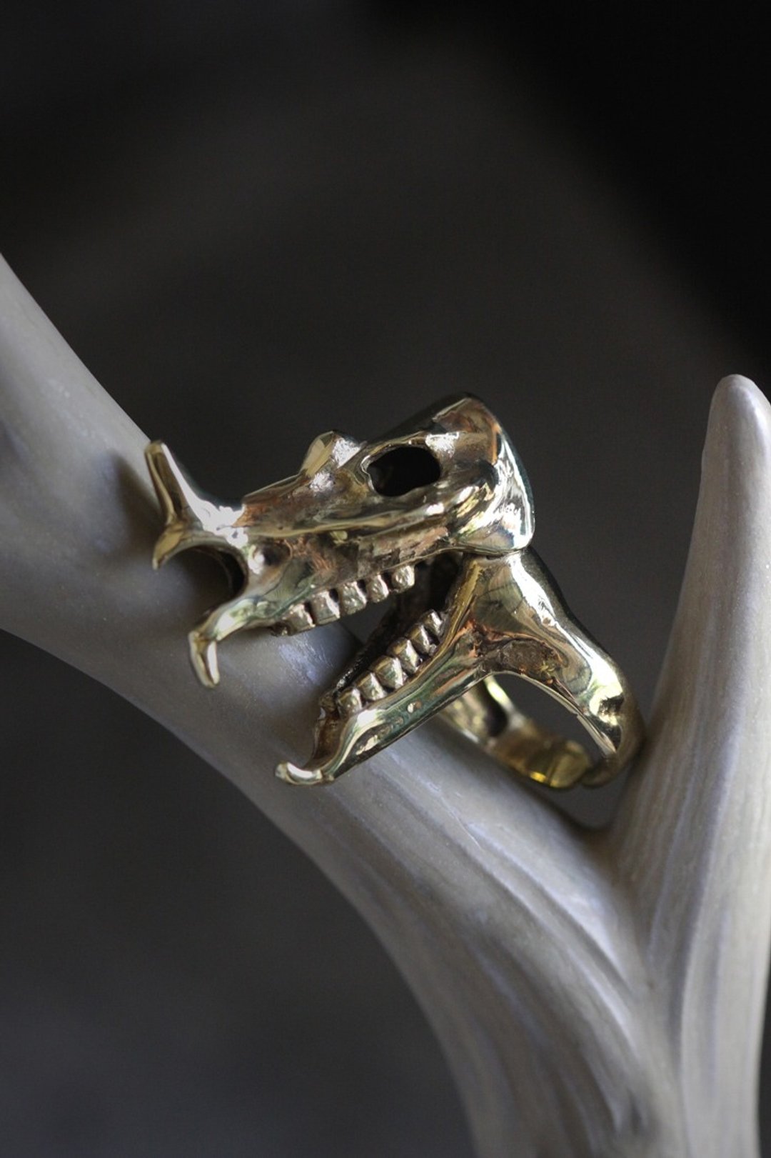 Rhino Skull Statement Ring by Defy - Original Handmade Jewelry - 戒指 - 其他金属 金色