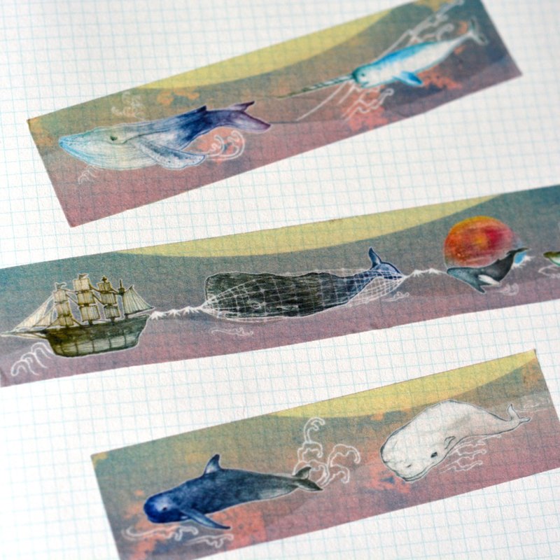 【海洋教育义卖企划】白鲸记-插画家PW - 纸胶带 - 纸 白色