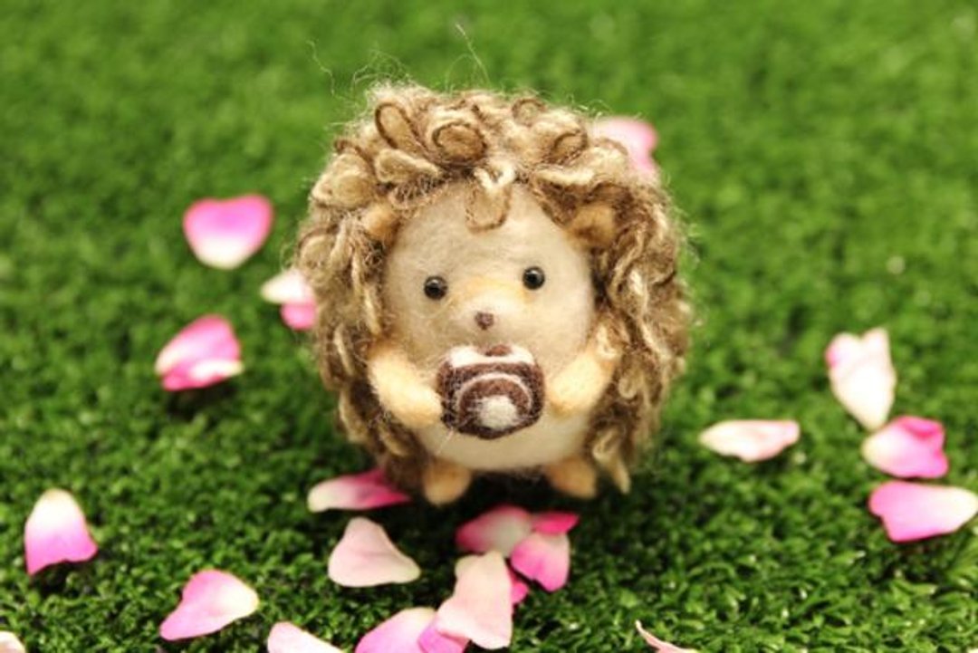 Wool felt afro photo shoot Hedgehog ♪ - 玩偶/公仔 - 羊毛 