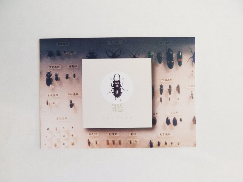 又 来 了 夏 天 /明信片 - 卡片/明信片 - 纸 白色