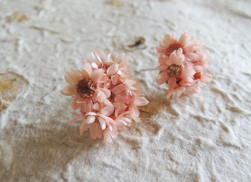 微甜·圈 手作 花耳环 季节限定 不凋花 粉红 繁星花 干燥花 耳环 耳针款式 婚礼 道具 - 耳环/耳夹 - 其他材质 粉红色