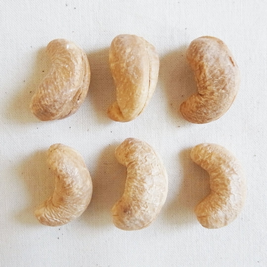 〔百山渡〕腰果 - 轻巧包 Cashew nuts - 其他 - 植物．花 卡其色
