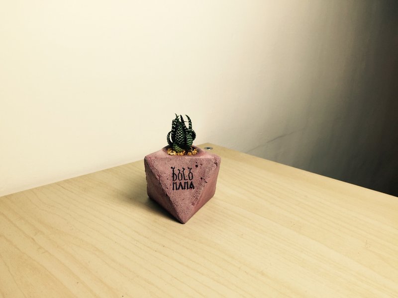 角头-鹰爪-多肉植物 水泥盆 交换礼物 - 植栽/盆栽 - 水泥 灰色