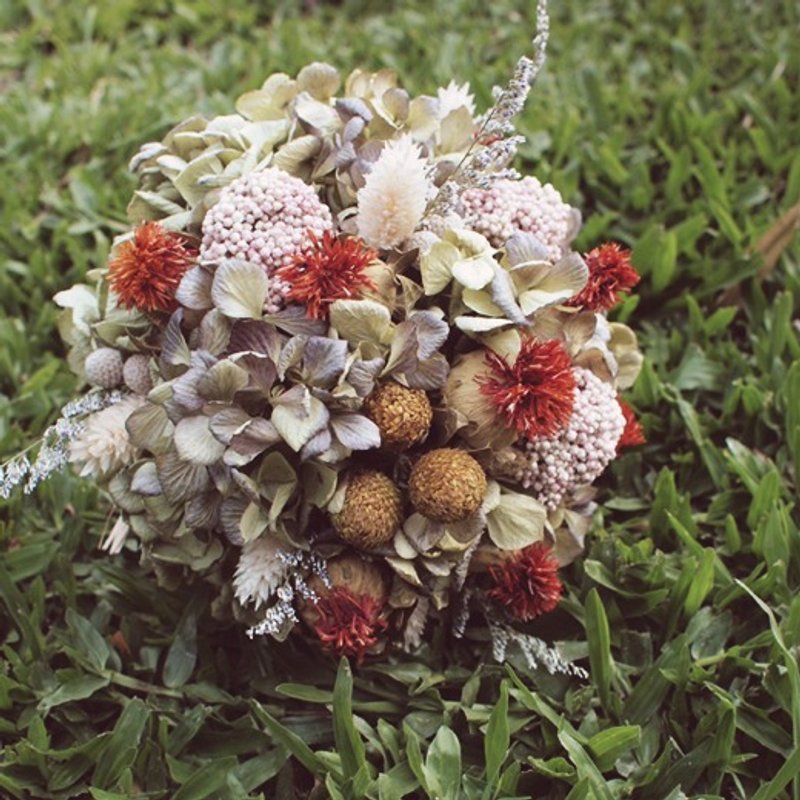 猫.初花 ｜ Forest 森林系干燥捧花 摄影 摆饰 送礼 新娘捧花 - 植栽/盆栽 - 植物．花 绿色