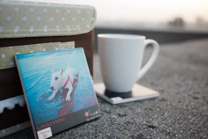 【云游视界ღ pictour】影像创作设备艺术杯垫‘High翻了’ 媚眼贱狗系列 - 摆饰 - 其他材质 蓝色