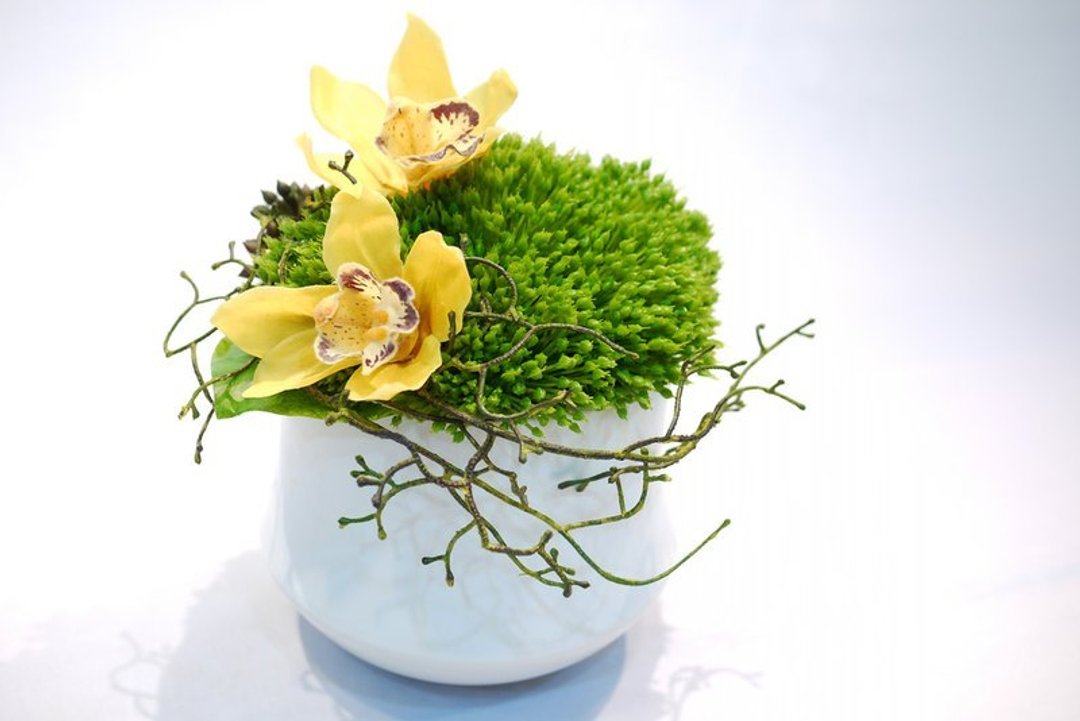 【人造花艺】黄东亚兰白陶瓷盆花饰 - 植栽/盆栽 - 其他材质 绿色