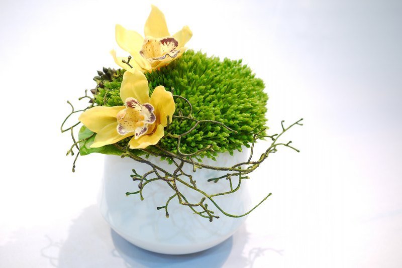 【人造花艺】黄东亚兰白陶瓷盆花饰 - 植栽/盆栽 - 其他材质 绿色