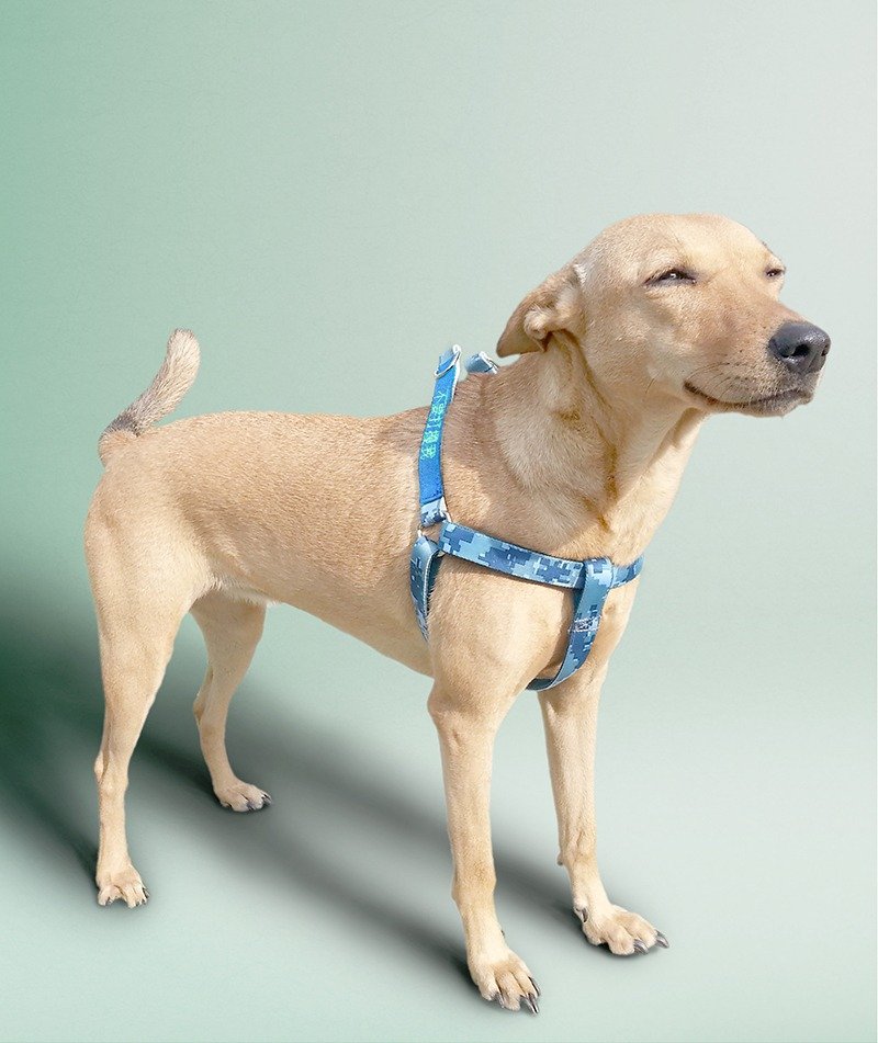 (L)胸背带+2句标语 几何印花蓝 - 项圈/牵绳 - 绣线 蓝色