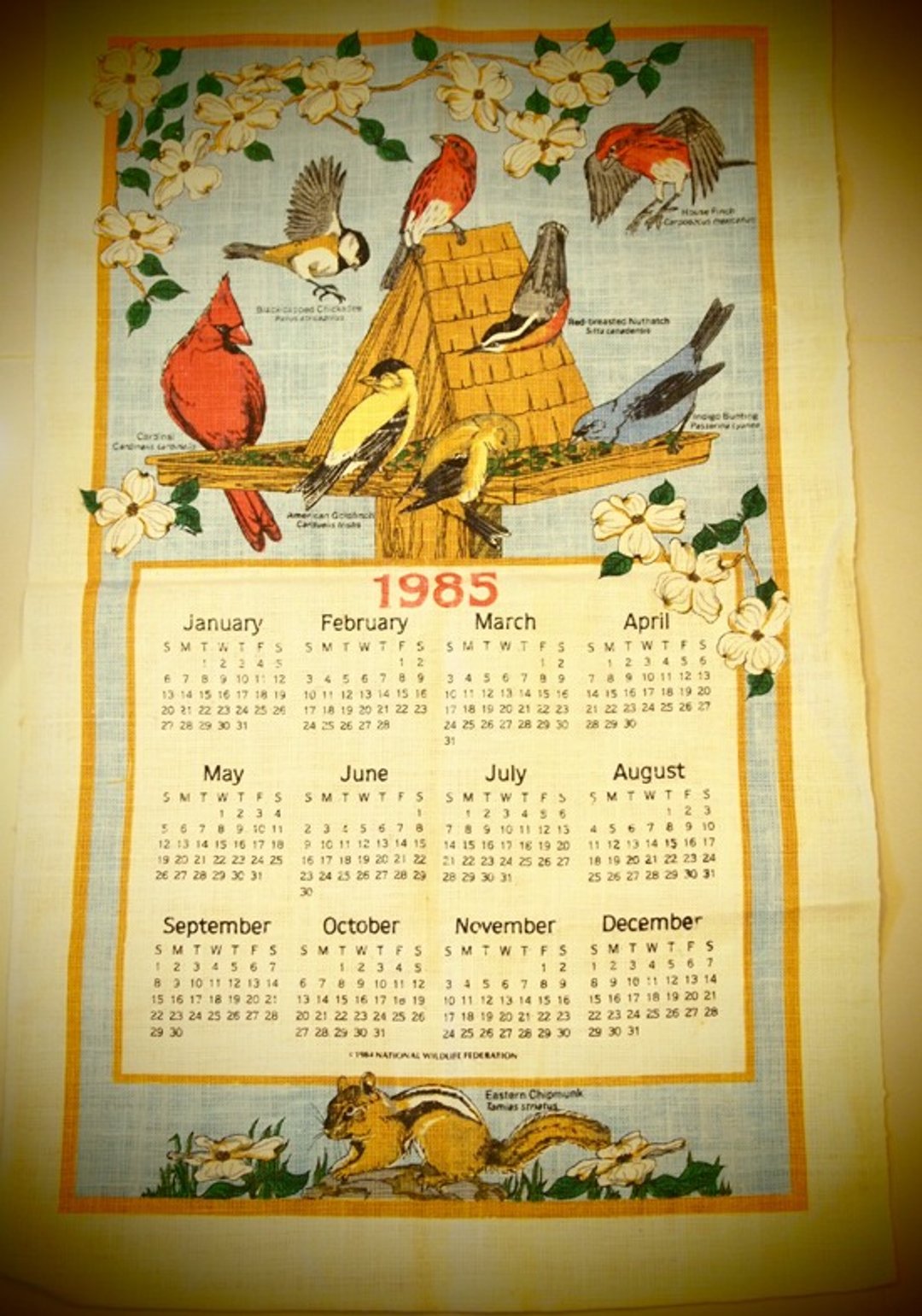 1985 美国早期布面月历 Bird 鸟集鳞萃 - 其他 - 其他材质 蓝色