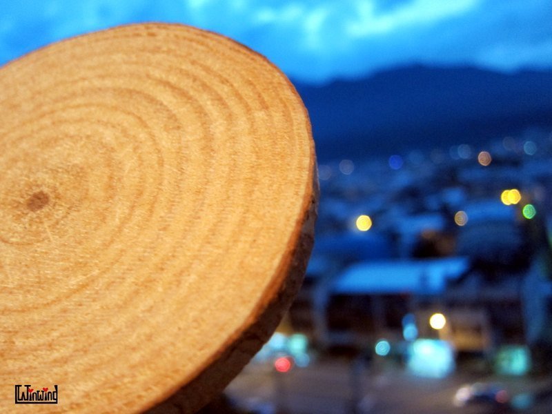 简单生活原木杯垫 (个人单件) - 杯垫 - 木头 黄色