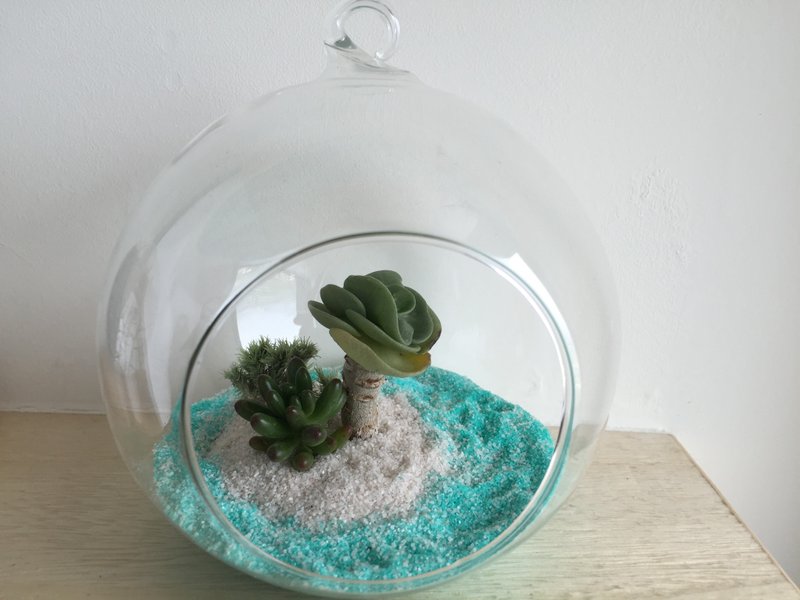 ［纯自然］ diy组 海岛 蓝眼泪 海 沙滩 玻璃球 盆栽 多肉 植物 送礼 疗愈 小物 夏威夷 马尔地夫 Island potted - 植栽 - 植物．花 蓝色
