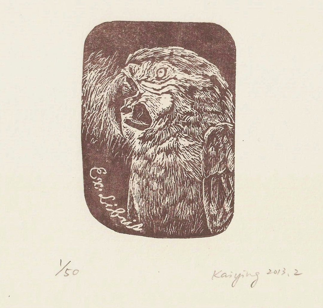 金刚鹦鹉藏书票-版画原作小品 - 海报/装饰画/版画 - 纸 黑色