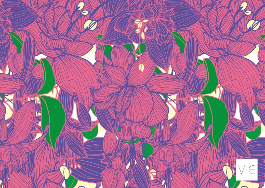【明信片】吊钟花 - 卡片/明信片 - 纸 紫色