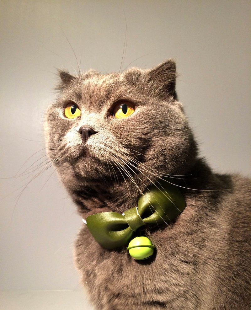 Jingle Pet Jingle Pet 绿野仙踪 宠物项圈 - 项圈/牵绳 - 真皮 绿色
