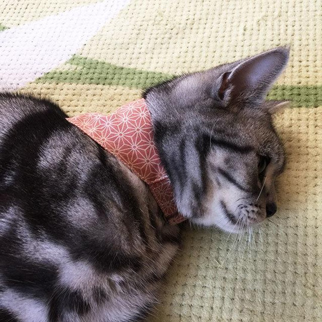 Hemp Leaf Pattern Pink / Bandana Style Collar for Cats with Corner Rings For Kittens to Adult Cats - 衣/帽 - 其他材质 