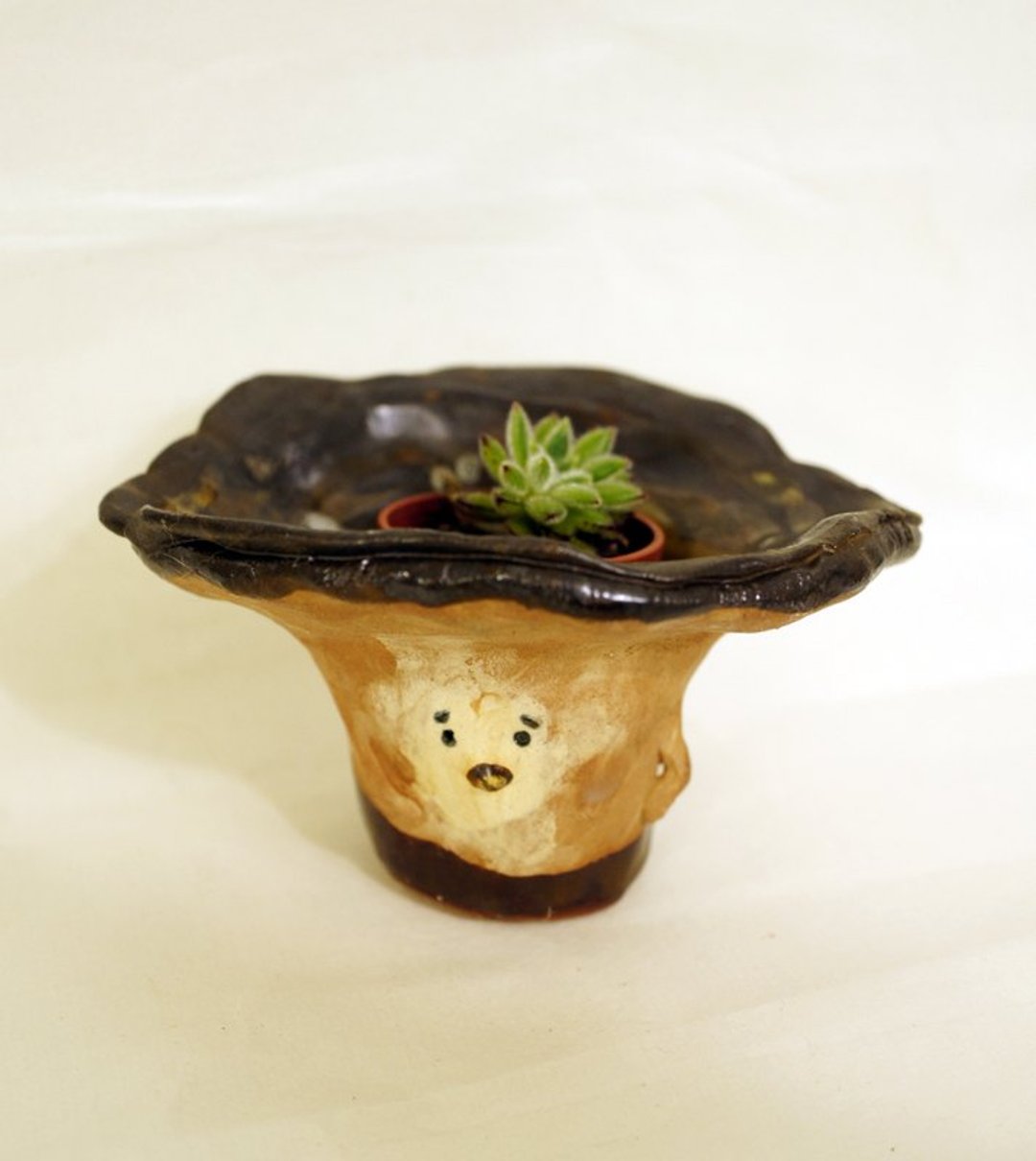 ［手感陶作］菌杯人-秋天的星空 - 植栽/盆栽 - 其他材质 咖啡色