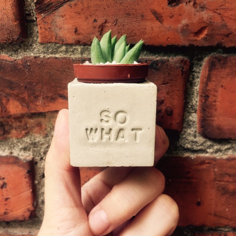 So What~!!多肉磁铁盆栽 - 植栽/盆栽 - 水泥 灰色