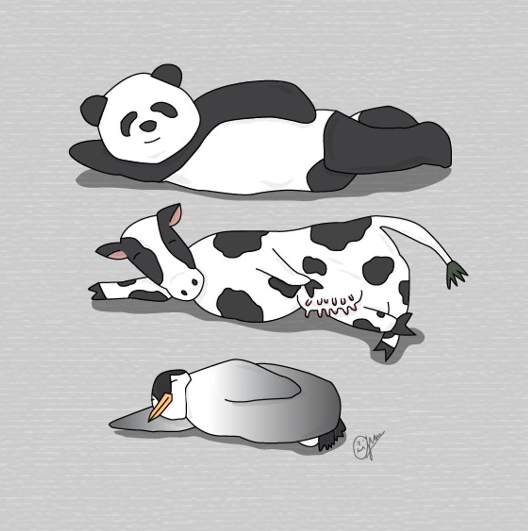 侧躺的动物们 | 句点 - 卡片/明信片 - 纸 多色