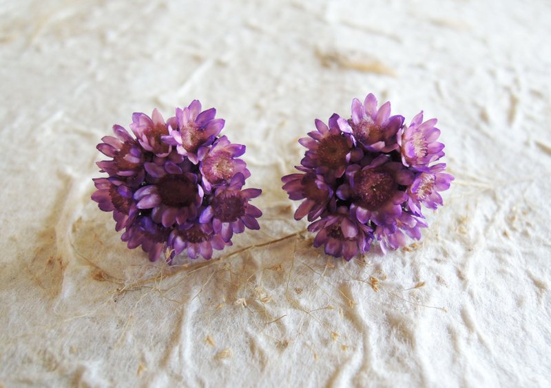 微甜·圈 手作 花耳环 限定 不凋花 紫色 繁星花 干燥花 耳环 耳针款式 婚礼 道具 - 耳环/耳夹 - 植物．花 紫色
