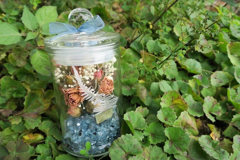 ▫One 花筒▫ Pure Love 凝结的爱 干燥花摆饰 - 植栽/盆栽 - 植物．花 橘色