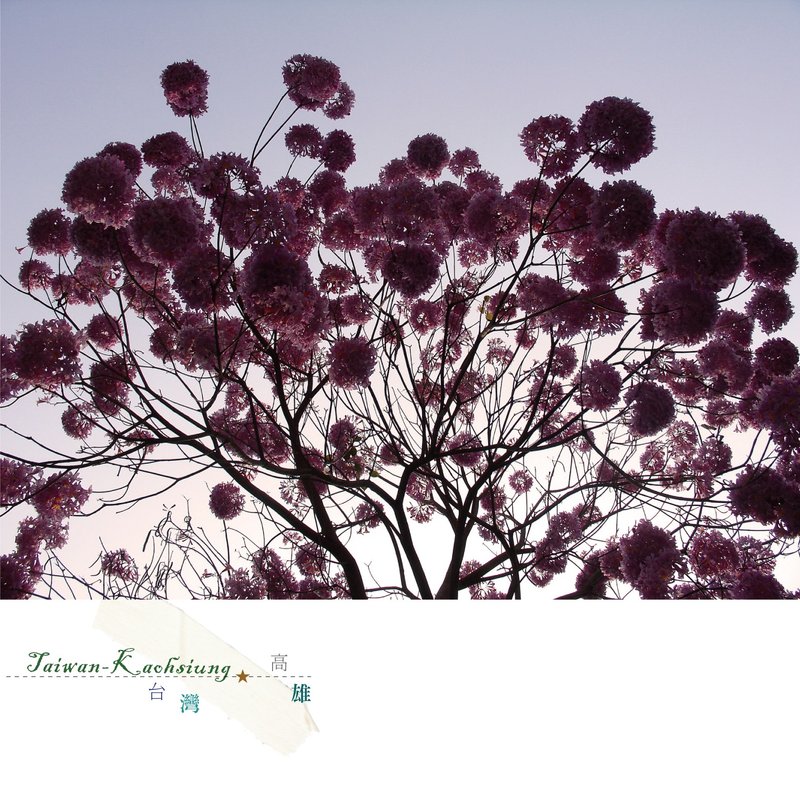 台湾摄影明信片 - 卡片/明信片 - 纸 