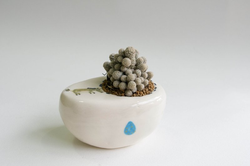 小沙粒山丘-盆栽 - 植栽/盆栽 - 其他材质 白色