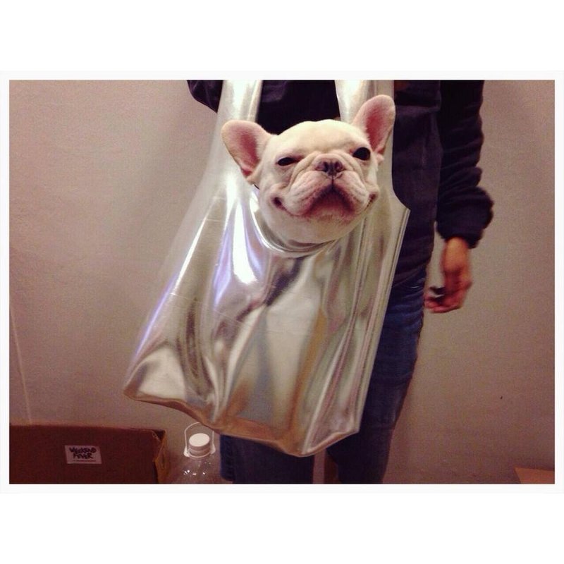 FUCK IT"bag 水银M 绝版出清最后一个 - 手提包/手提袋 - 防水材质 多色