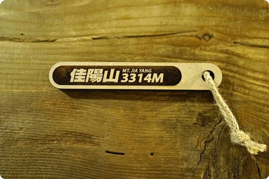 100 PEAKS of TAIWAN台湾百岳吉拿棒-佳阳山 046 - 其他 - 木头 金色