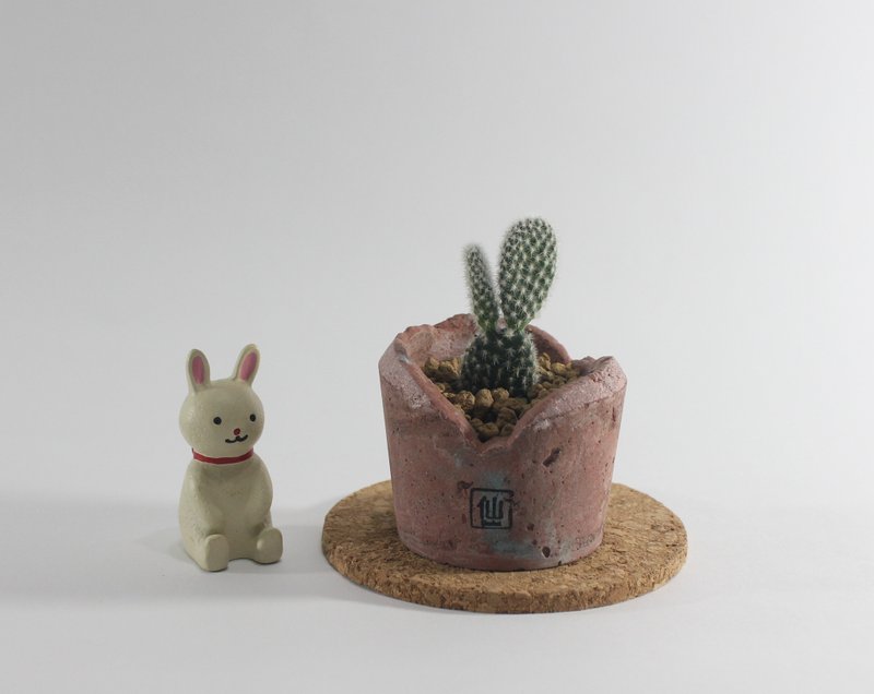 多肉植物小盆栽-躲猫猫，有看见我的兔耳朵吗？ - 植栽/盆栽 - 植物．花 红色