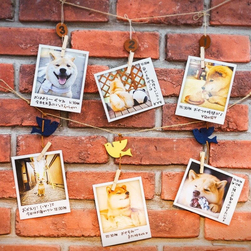 柴犬MARU 美好的一天 - A Day with MARU 明信片组 (6张入) - 卡片/明信片 - 纸 