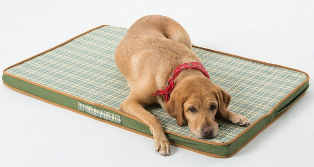 《Lifeapp》宠物缓压睡垫L (绿格纹) 适用大型犬、长期照护、高龄犬110*70*5 - 床垫/笼子 - 其他材质 绿色