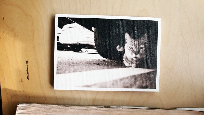 OldNew Lady-摄影明信片【车下的猫咪】 K2 - 卡片/明信片 - 纸 黑色