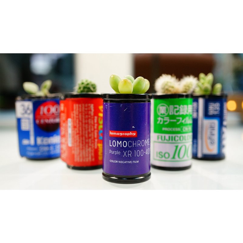 底片罐盆栽 - 植栽/盆栽 - 其他材质 绿色