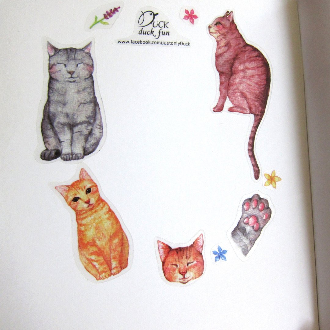 贴纸 虎斑猫 - 贴纸 - 纸 橘色