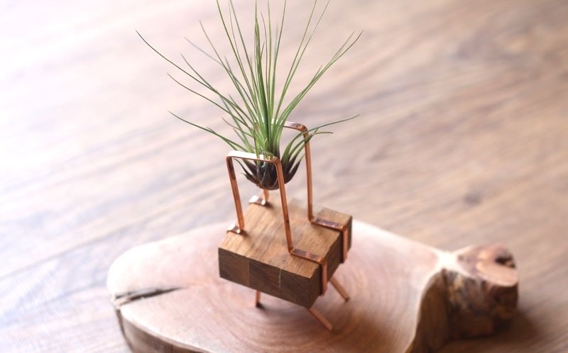 红铜积木￥空气凤梨 - 植栽/盆栽 - 其他金属 咖啡色