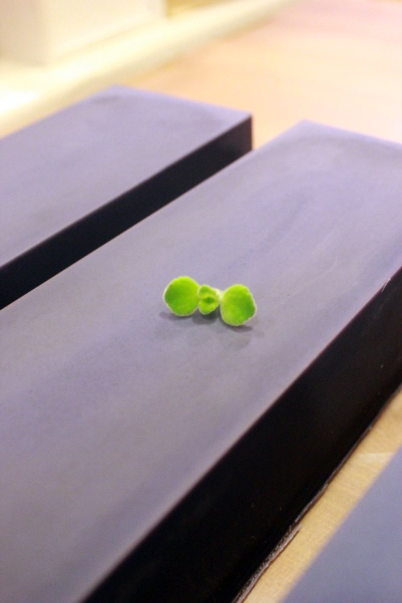 安静/紫草皂 - 香薰/精油/线香 - 植物．花 紫色